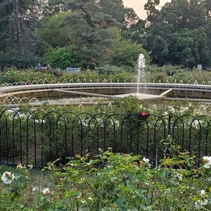 Meet your Posher, Hamid